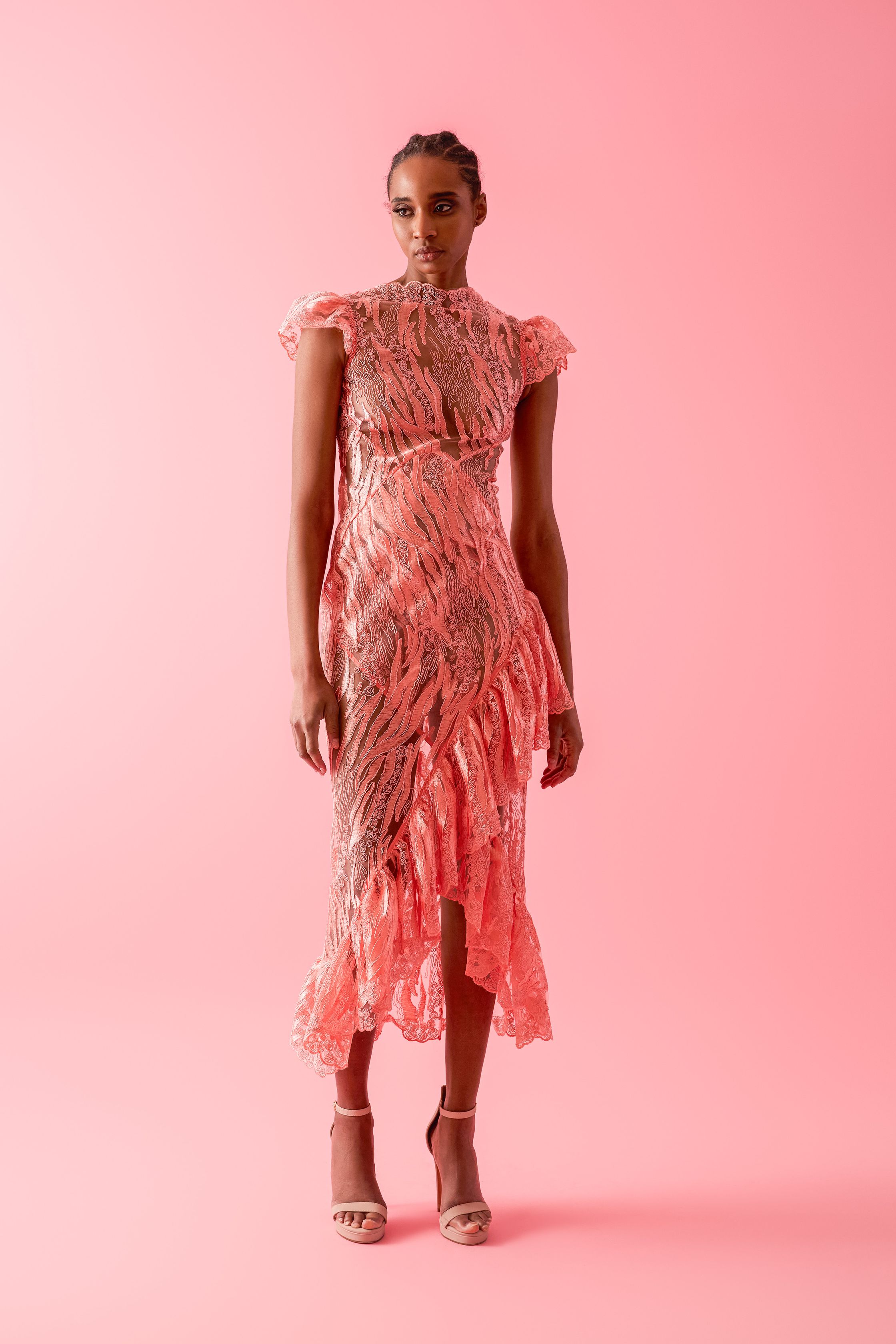 Frederick Anderson 2026早秋004